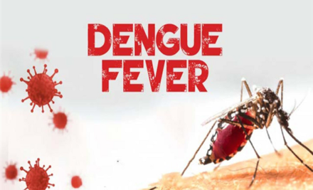 Unmasking Dengue Fever: Recognizing the Signs and Symptoms