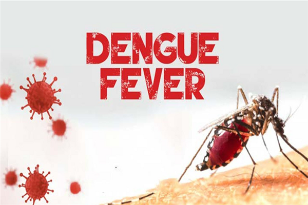 Unmasking Dengue Fever: Recognizing the Signs and Symptoms