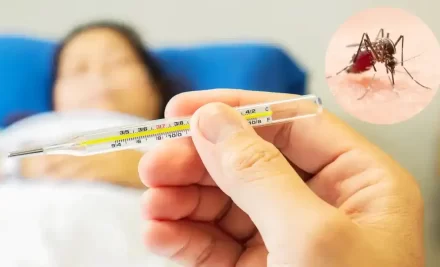 Understanding Dengue Fever Symptoms: Recognizing the Signs of a Potentially Serious Illness