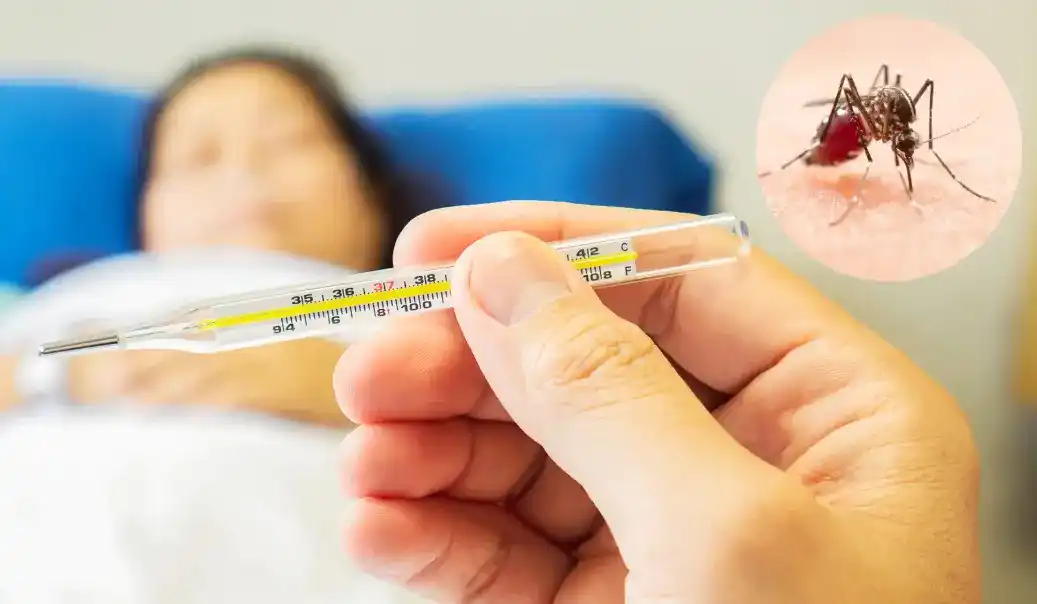 Understanding Dengue Fever Symptoms: Recognizing the Signs of a Potentially Serious Illness